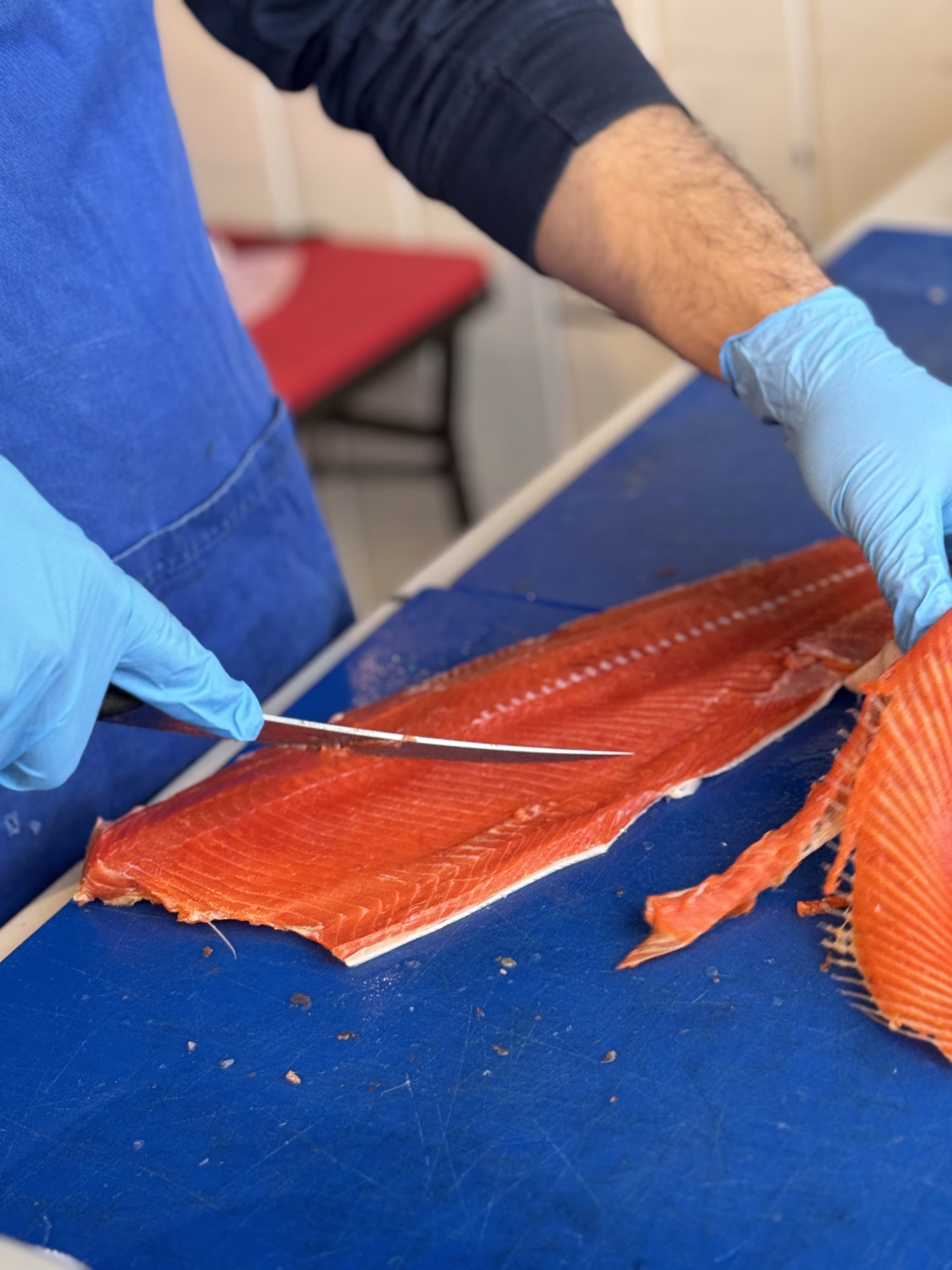 Hands guiding a knife along a sockeye salmon at the filleting masterclass