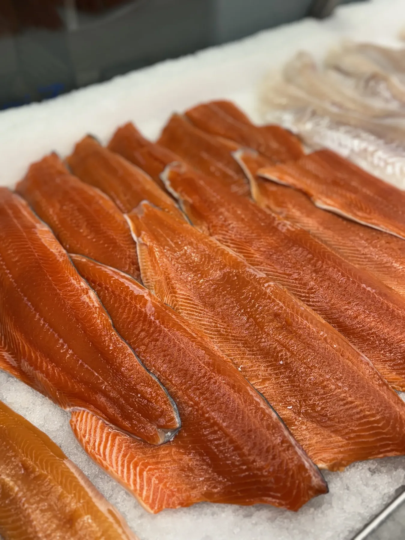 wild sockeye salmon